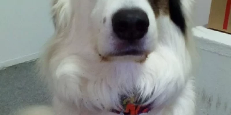 3c1971_2a5979453be4456882e5081eaf9ae0b9_mv2