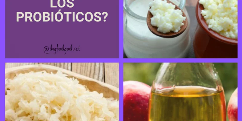 3c1971_f6fb3c18a0e8411c90a9d11c053e16b5_mv2