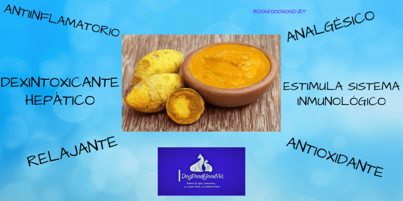 GOLDENPASTE