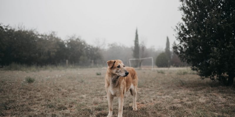 Retiro | Vuelve a ti