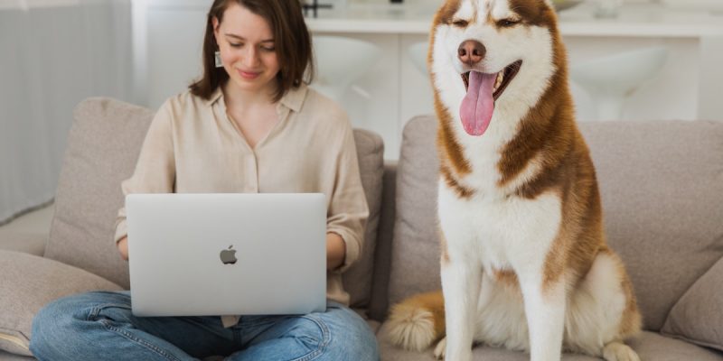 nutricionisma animal