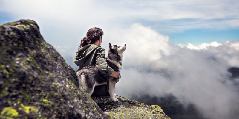 siberian husky beside woman sitting on gray rock mountain hill while watching aerial view