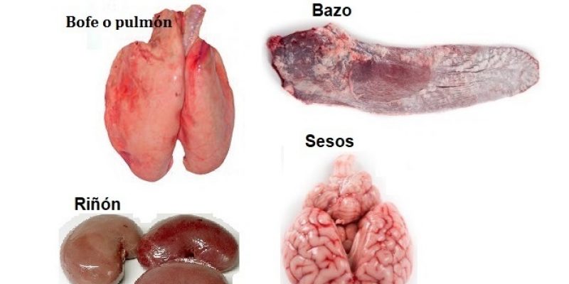visceras